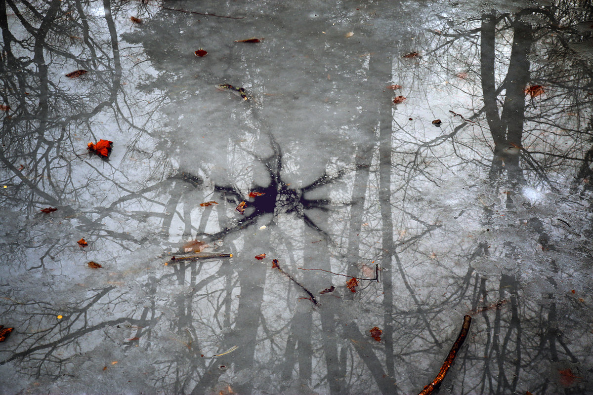 Лёд. Отражение. - Владимир Хижко