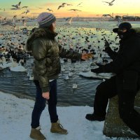 Не стреляйте в белых лебедей. :: Виктор