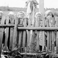 Деревня Горбуновка :: Александр