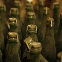 Бутылки из прошлого :: Ольга ягода