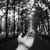 Путь :: Пётр Меркулов 