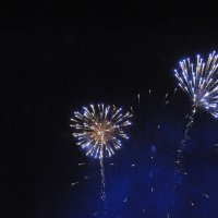 "Небесные Цветы" :: ЖЕННИ