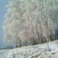 Все деревья в серебре :: Bagronne