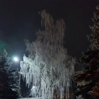 Ночной январь :: Дина 