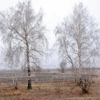 Подружки. :: Восковых Анна Васильевна 