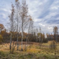 Под небом октября... :: Владимир Жданов