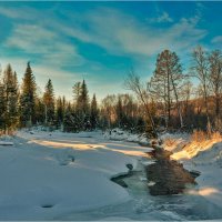 Зимнее утро :: Алексей Мезенцев