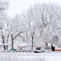 Одна ночь снегопада и к нам пришла Зима. :: Восковых Анна Васильевна 