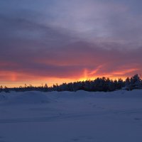 Короткий день :: Ольга 