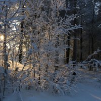 Когда всходит солнце :: Ольга 