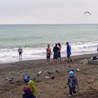 Декабрь.Алушта.Море.Смельчаки! :: Варвара 