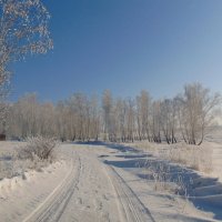 Зимняя дорога. :: nadyasilyuk Вознюк