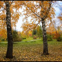 Осенние зарисовки :: Алексей Патлах