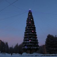 В полярных сумерках :: Ольга 