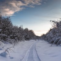 ... :: Евгений(Жора) Житников