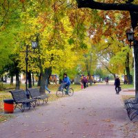 В осеннем парке :: Роман Савоцкий