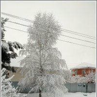 Морозный денёк :: Владимир Попов