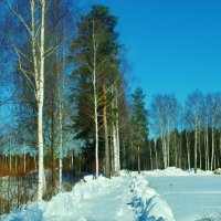 белый снег   голубое небо :: Владимир 