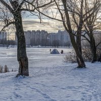 Декабрь на городском пруду :: Валерий Иванович