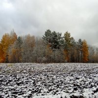 Когда выпал первый снег. :: nadyasilyuk Вознюк