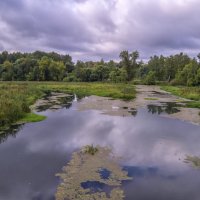 Речка Серая в Карабанове :: Сергей Цветков