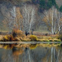 Осень у воды. :: nadyasilyuk Вознюк