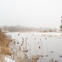 Река Улейма под хрупким льдом :: Дарья Меркулова