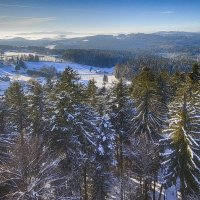 Бавария :: Андроник Александр 