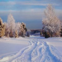 Дорога в зиму :: Людмила Смородинская