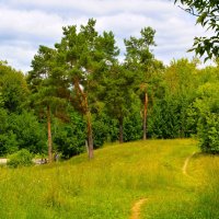 Новочебоксарск. Тропинка Ельниковской рощи летом. :: Пётр Чернега