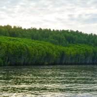 Прогулка по реке Пранбури :: Иван Литвинов