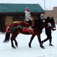 Всадница. :: nadyasilyuk Вознюк