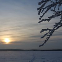 Воспоминания о солнце :: Ольга 