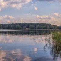 Озеро Черное,что в Покрове :: Сергей Цветков