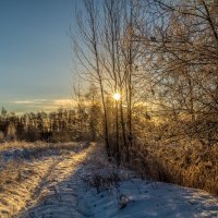 День зимнего солнцестояния 7 :: Андрей Дворников