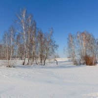 На покрывале белом от зимы. :: nadyasilyuk Вознюк