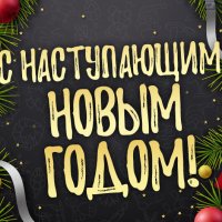 С наступающим Новым Годом! :: сергей 