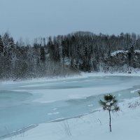 Таежная глубинка. Сибирская Катунь. :: Любовь Иванова