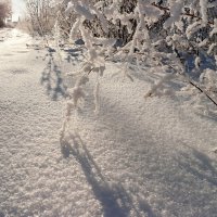 О последних днях уходящего года... :: Андрей Заломленков