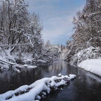 ... :: Жора Житников