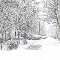 Новогодний снегопад :: Татьяна Тюменка