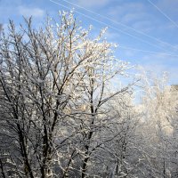 А у нас во дворе наступила зима ! :: Николай 