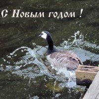 Новогодняя :: Дмитрий Ерохин