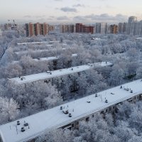 предновогодние Кузьминки :: Сергей Лындин