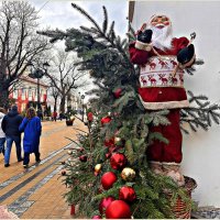 Зеленоградск новогодний. :: Валерия Комова