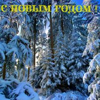 С   НОВЫМ   ГОДОМ ! :: Анатолий Малобродский