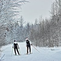 Январь..В снегопад на лыжне! :: Владимир 