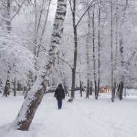 Зима в Городе :: юрий поляков