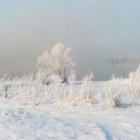 Нежные краски зимы. :: Вадим Басов