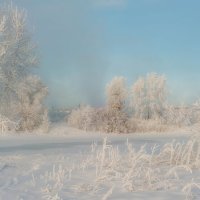 Зимнее очарование. :: Вадим Басов